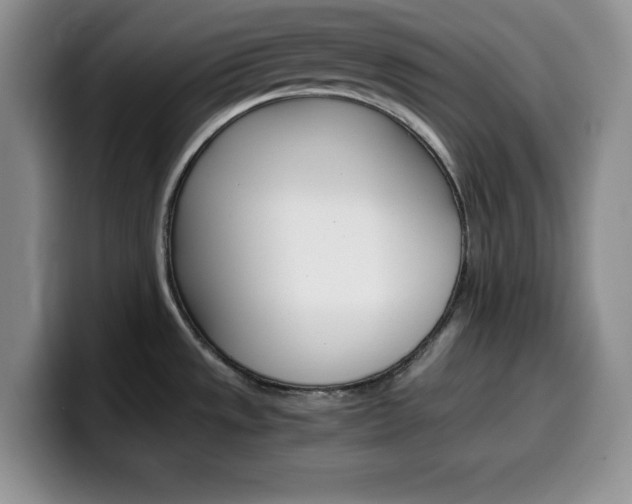 X0000100231533200805300715
