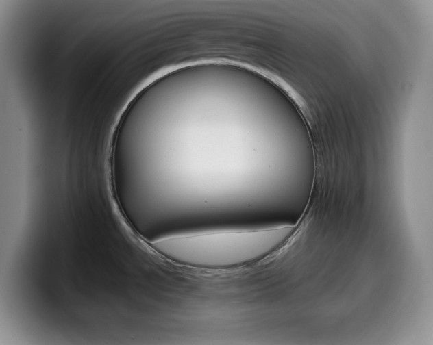 X0000100231534200805300715