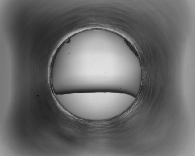 X0000100231535200805300715