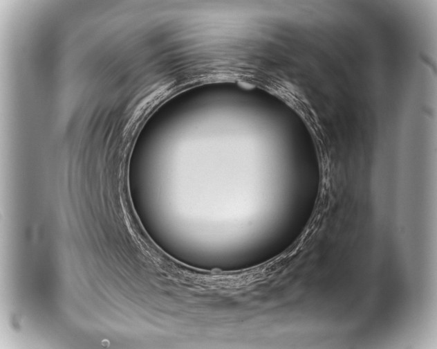 X0000100230001200805301422