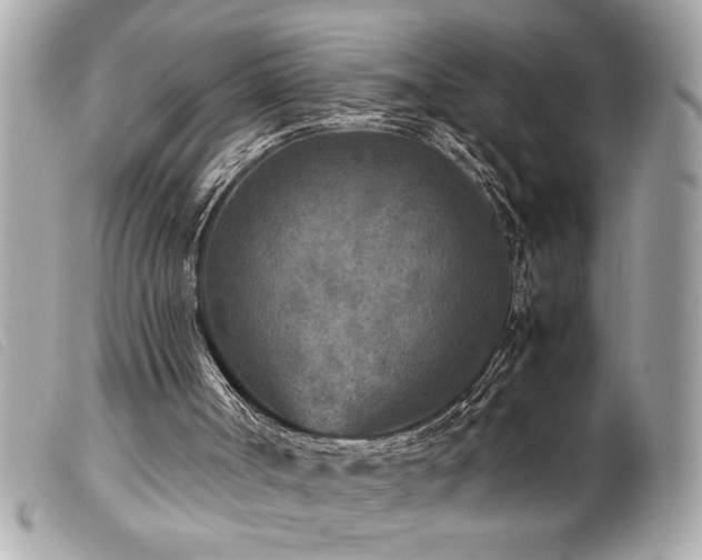 X0000100230002200805301422