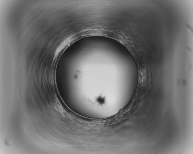 X0000100230004200805301422