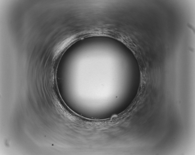 X0000100230005200805301422