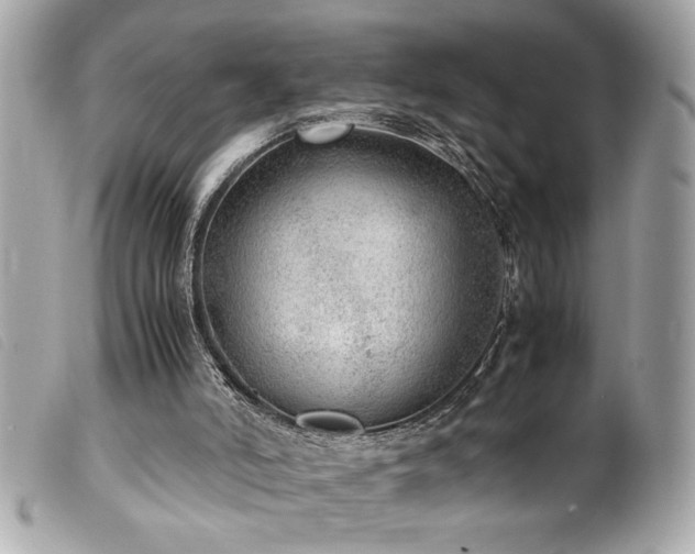 X0000100230006200805301422