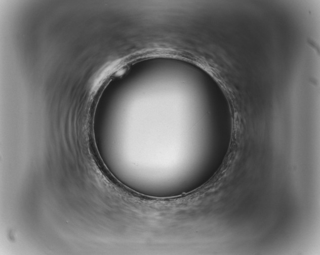 X0000100230007200805301422