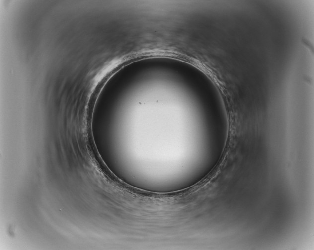 X0000100230008200805301422