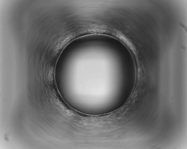 X0000100230009200805301422