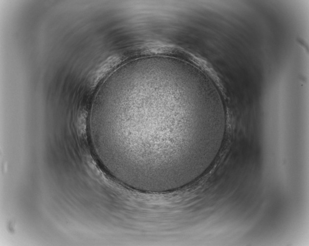 X0000100230010200805301422