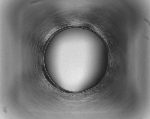 X0000100230011200805301422