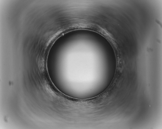 X0000100230012200805301422