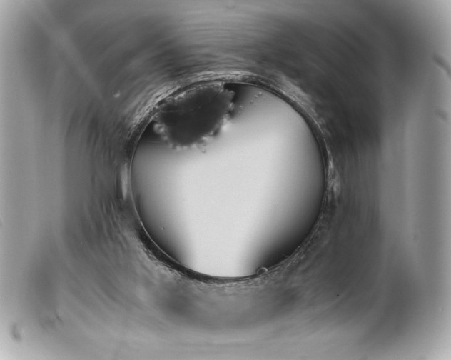 X0000100230013200805301422