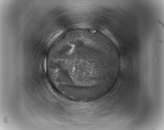 X0000100230014200805301422