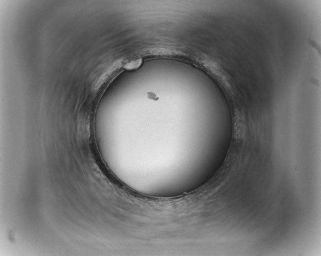 X0000100230015200805301422