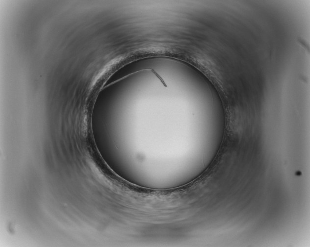 X0000100230016200805301422