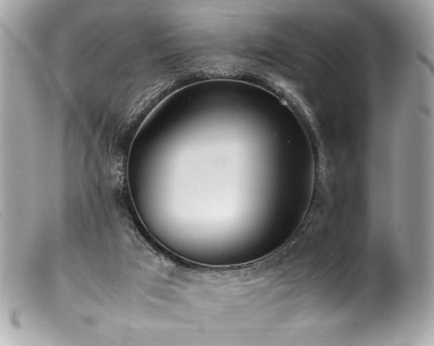 X0000100230017200805301422