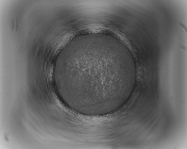 X0000100230018200805301422