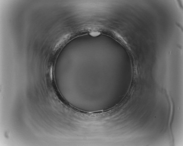 X0000100230019200805301422