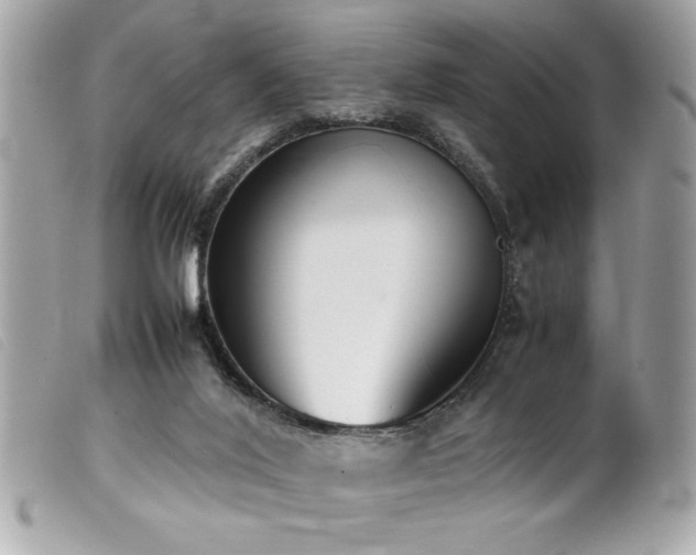 X0000100230020200805301422