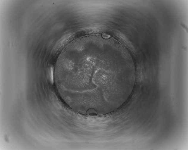 X0000100230022200805301422