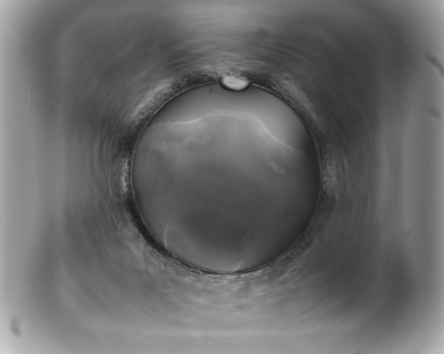 X0000100230023200805301422