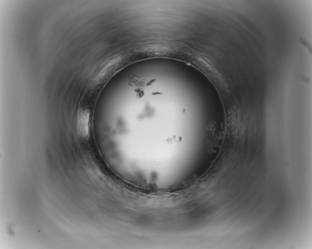 X0000100230024200805301422