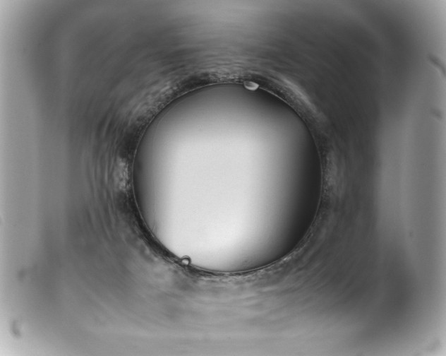 X0000100230025200805301422