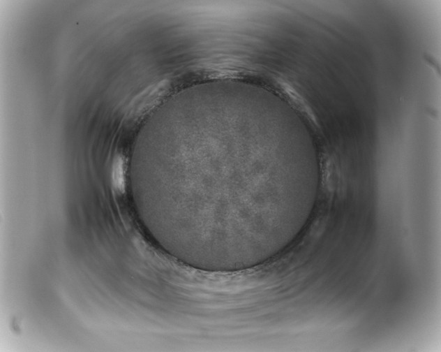 X0000100230026200805301422