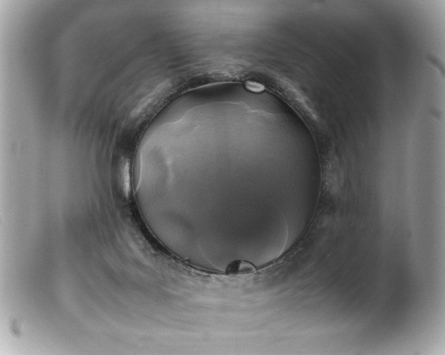 X0000100230027200805301422