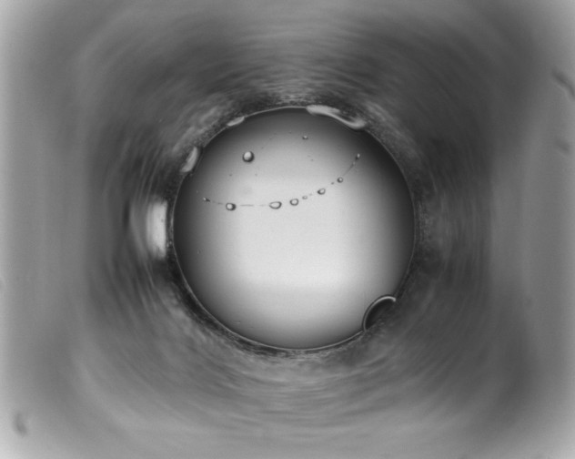 X0000100230028200805301422