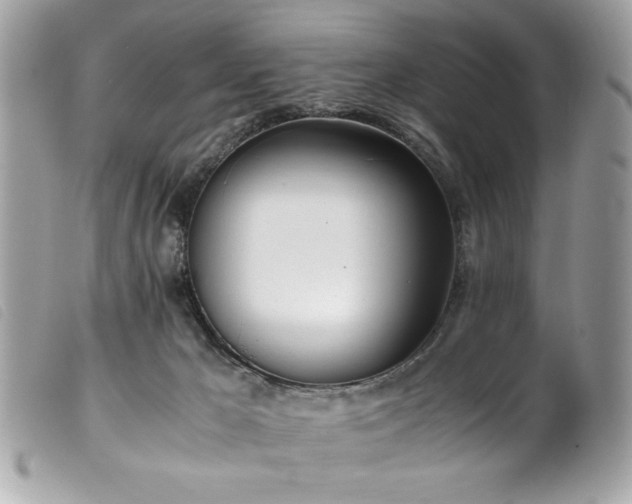 X0000100230029200805301422