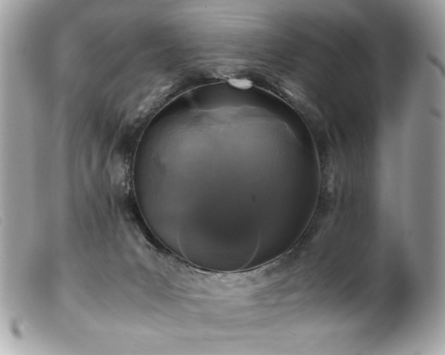 X0000100230031200805301422