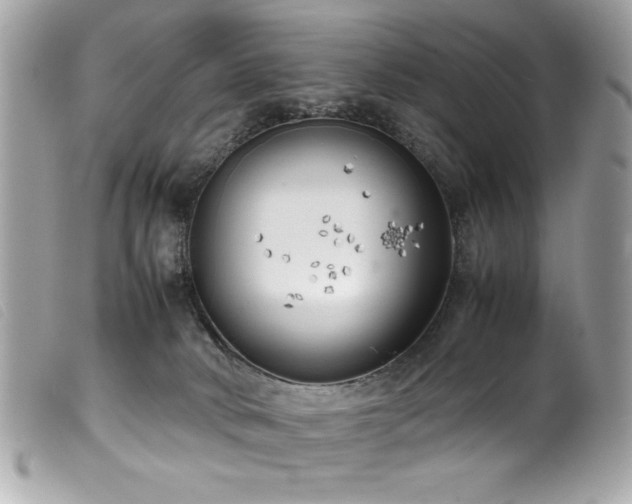 X0000100230034200805301422