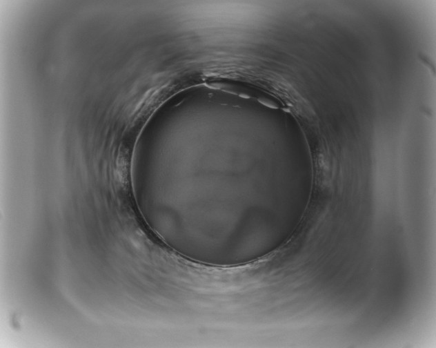 X0000100230035200805301422