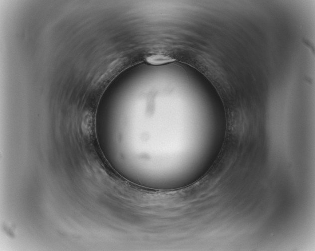 X0000100230036200805301422