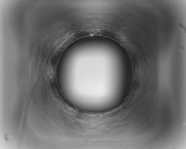 X0000100230037200805301422