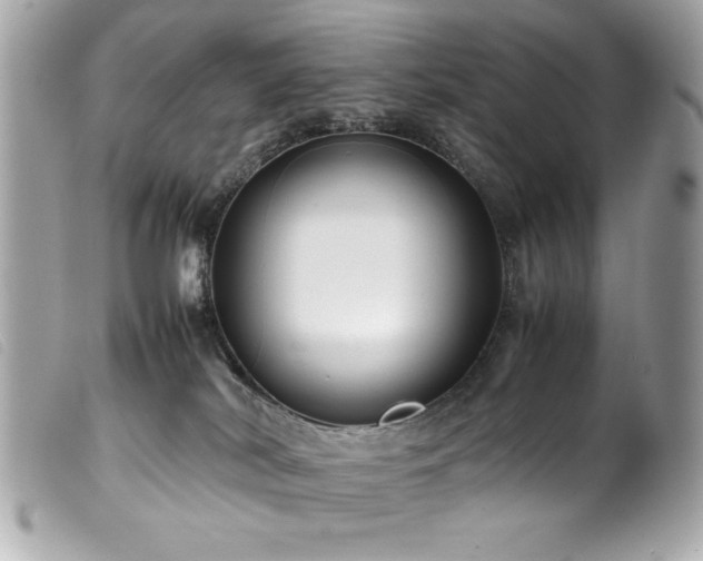 X0000100230038200805301422