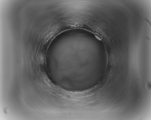 X0000100230039200805301422