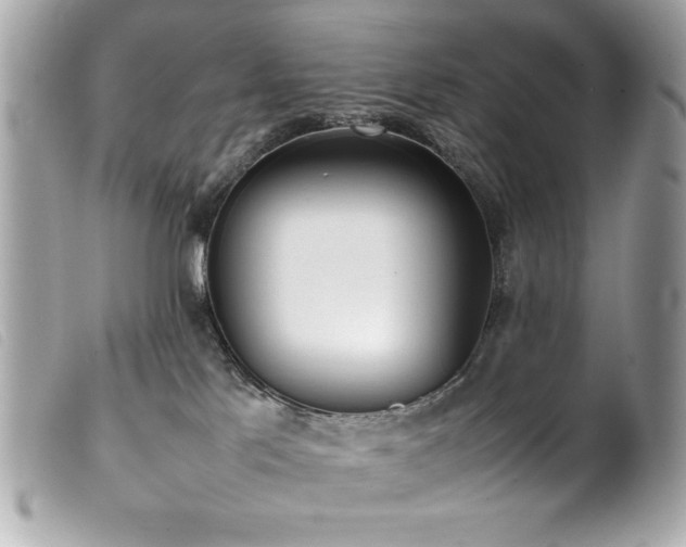 X0000100230041200805301422