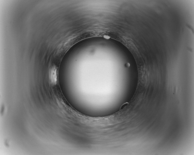 X0000100230042200805301422