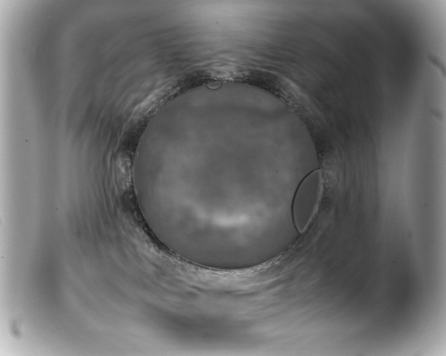 X0000100230043200805301422