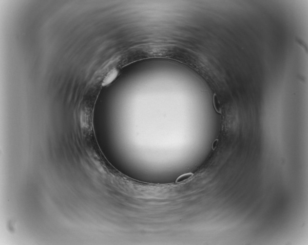 X0000100230044200805301421