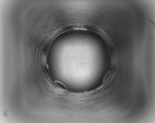 X0000100230045200805301421