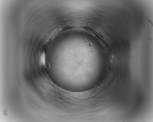 X0000100230046200805301421