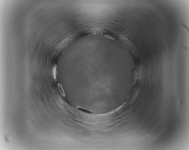 X0000100230047200805301421