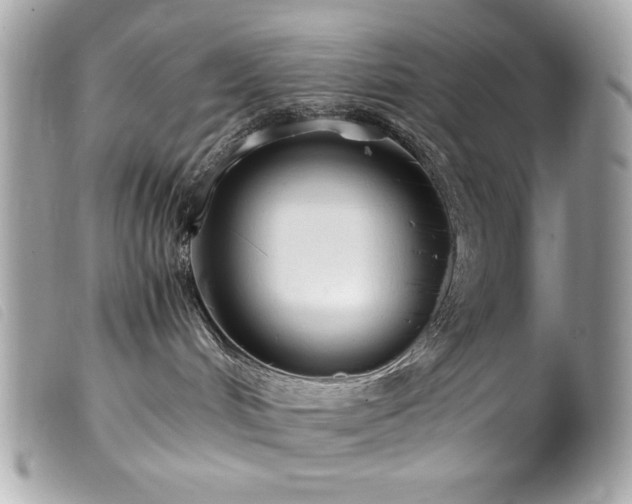 X0000100230048200805301421