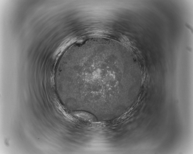 X0000100230050200805301421