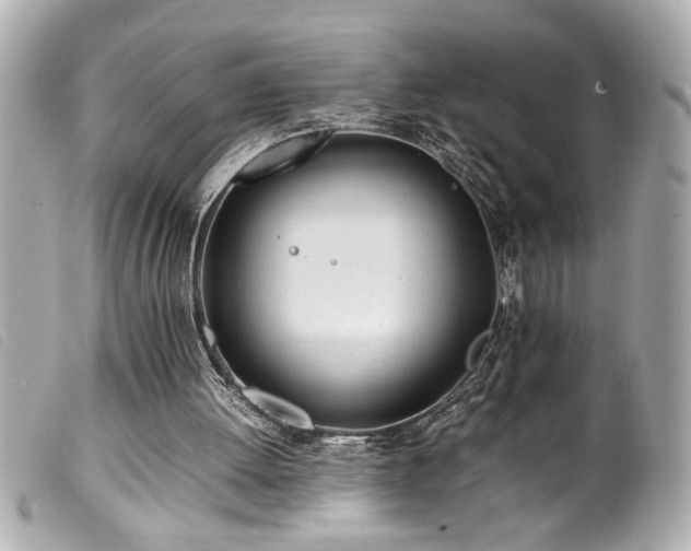 X0000100230052200805301421