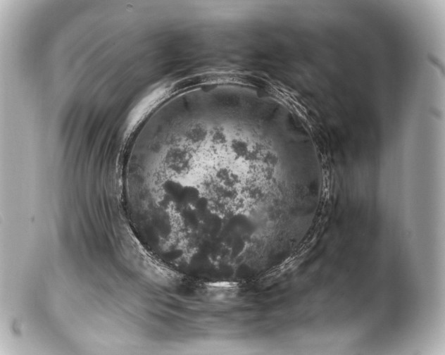 X0000100230053200805301421