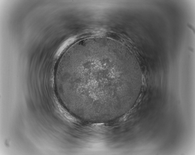 X0000100230054200805301421