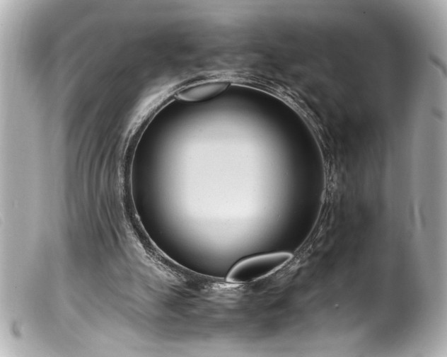 X0000100230055200805301421